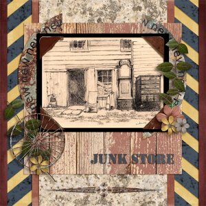 Junk Store