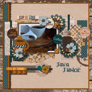 Java Junkie