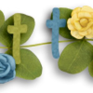 siggie43