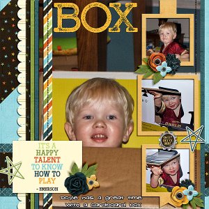 cardboard-box