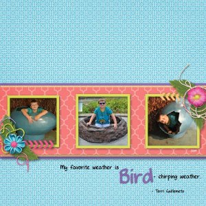 Bird
