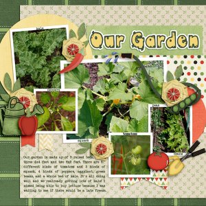 Our Garden