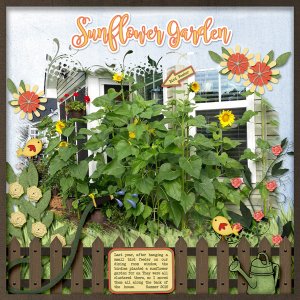 Sunflower Garden