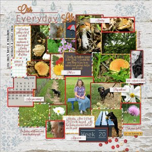 May 15-21 Project Life