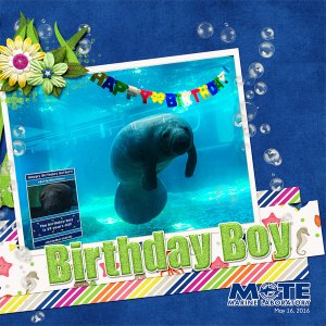 June 2016 Font Challenge - Happy Birthday Buffett