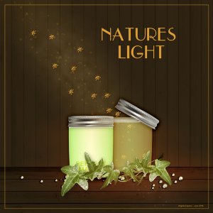 Natures Light