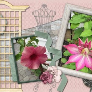 My Garden