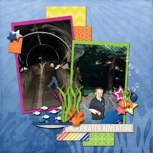 Fish Tunnel