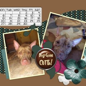 Ginger - June 2016 Desktop Challene