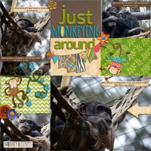 Just Monkeying Around