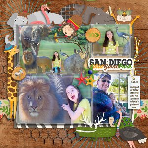 San Diego Wild Game Park Tour 2010