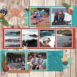 Maui_2016_Red_Sand_Beach2_Kaihalulu_Bay_on_Ka_uiki_Head_DFD_FrameIt