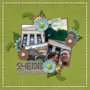 Shedd Aquarium