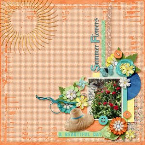 Summer Flowers