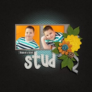 Stud