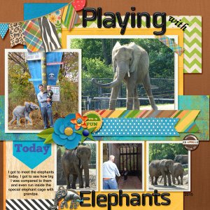 Playing with Elephants