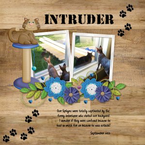 Intruder