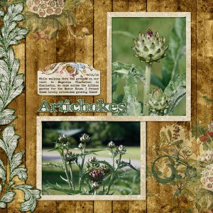 Artichokes @ Magnolia Plantation