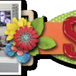 201606 Siggy