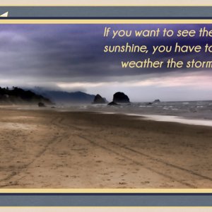Weather the Storm