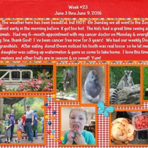 2016 Week 23 - Project 365 Challenge
