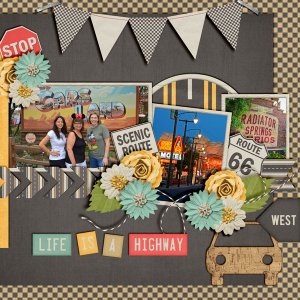 Life-Is-A-Highway1