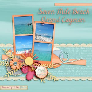 Dreaming_of_the_Beach