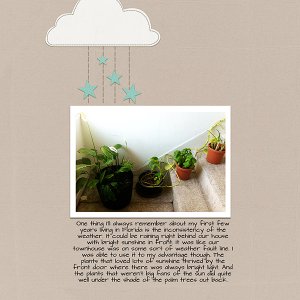 Plants