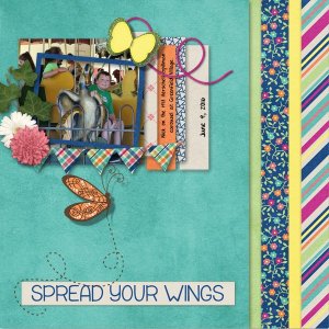 Spread Your Wings