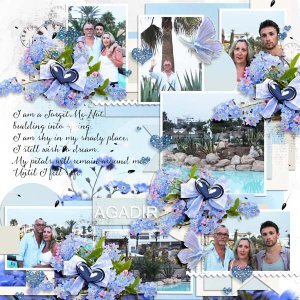 Forget me not