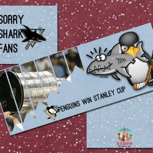 Sorry Shark Fans