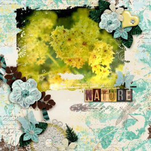 Nature14