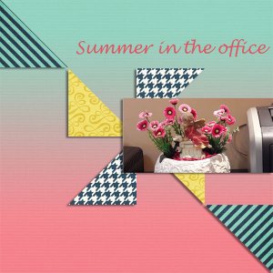 Summer in the office