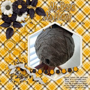 No_bees_no_honey