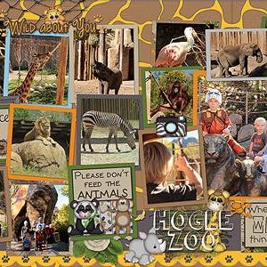At the Zoo