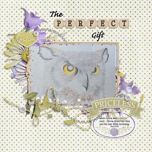 The Perfect Gift