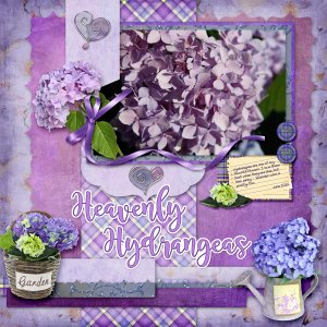 Heavenly Hydrangeas