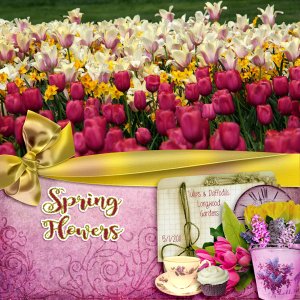 Spring flowers
