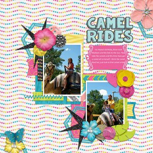 Camel Rides