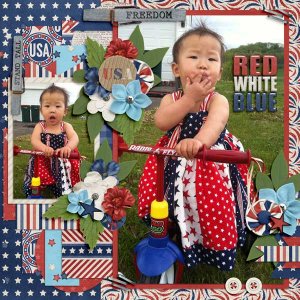 Tinci_MLIP15_4-and-Red-White-and-Blue