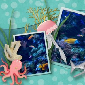 Aquarium