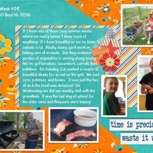 2016 Week 24 - Project 365 Challenge