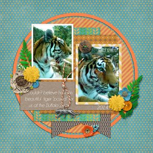 Hello Tiger