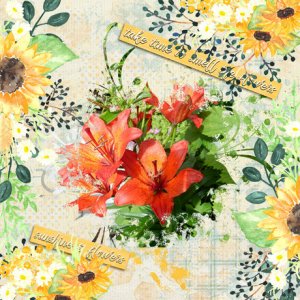Summer-lilies