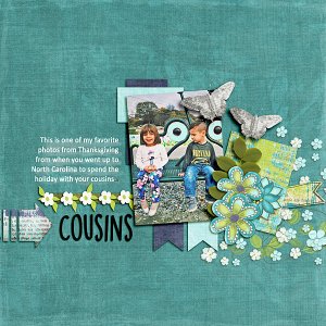 Cousins
