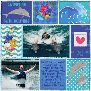 Swimming with Dolphins