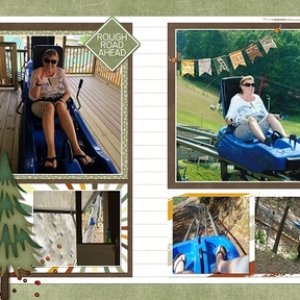 Mountain coaster