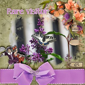 Rare-visitor