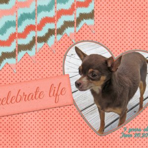Celebrate Life
