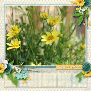 Flowers and Sunshine